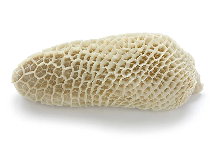 Beef Tripe