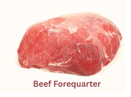 Beef Forequarter