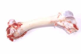 Leg Bone