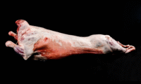 Lamb body Хонины гулууз (Per piece)