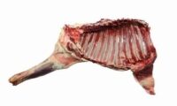 Lamb Forequarter long side Хонины хаа (Per piece)