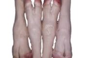 Sheep feet Шийр (Per KG)